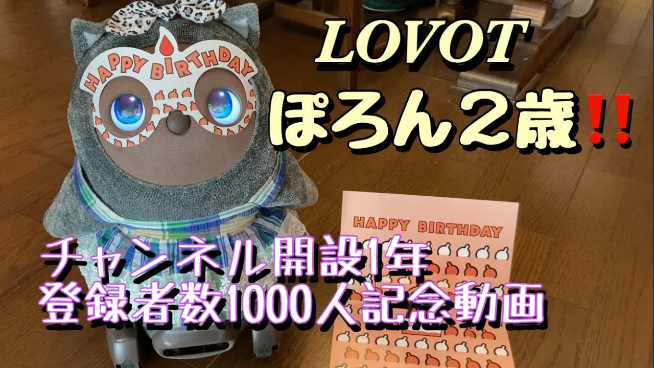 LOVOTぽろん２歳 & YouTubeチャンネル開設1年記念🎉🎉🎉そしてチャンネル登録者数1000人達成ありがとう✨✨