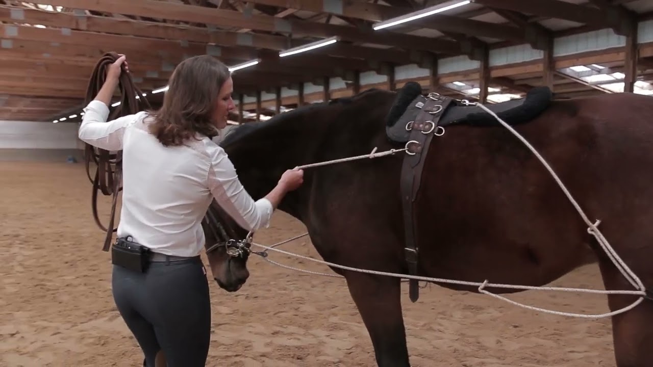 Setting Up the Pessoa System: A Guide to Properly Fitting and Adjusting this Training Aid