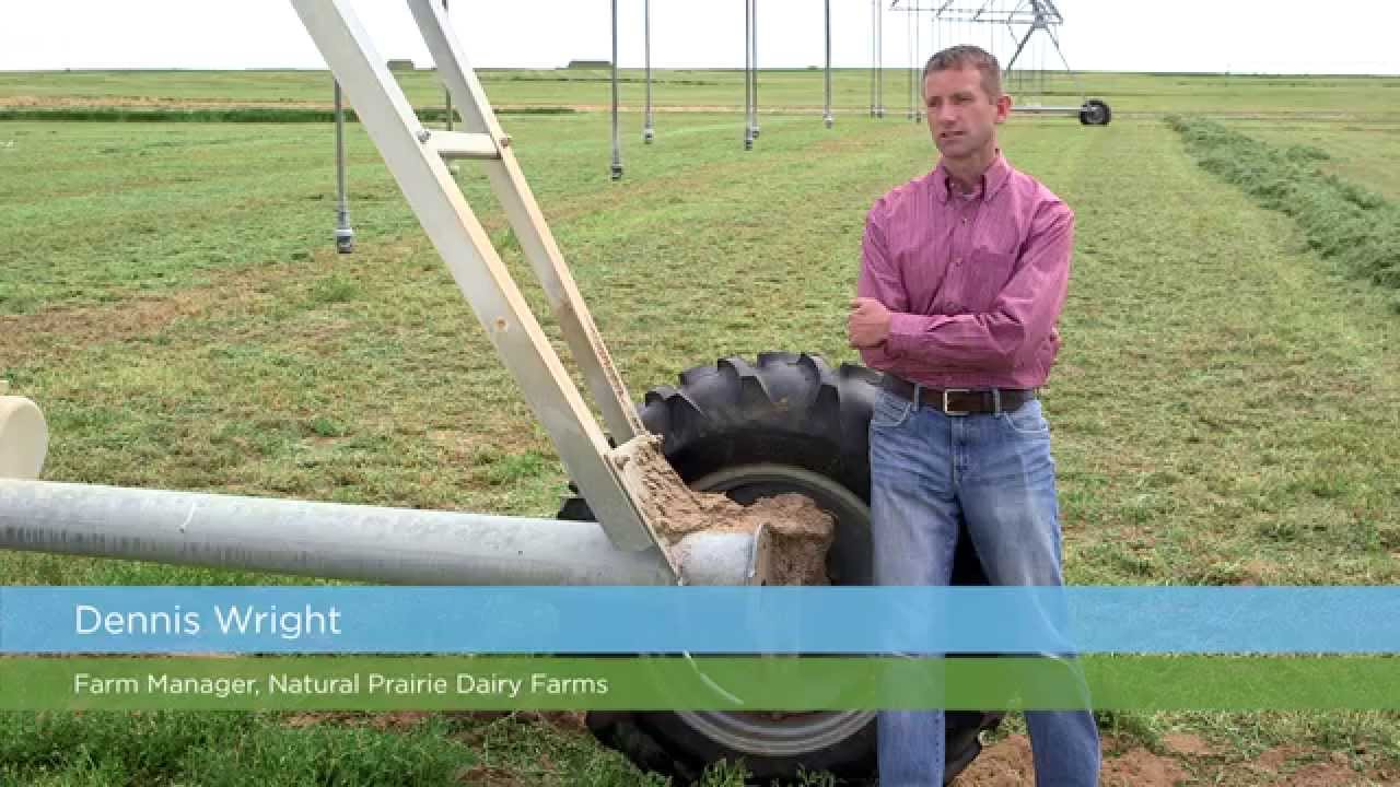 The Cycle of Organic - from grass to glass.