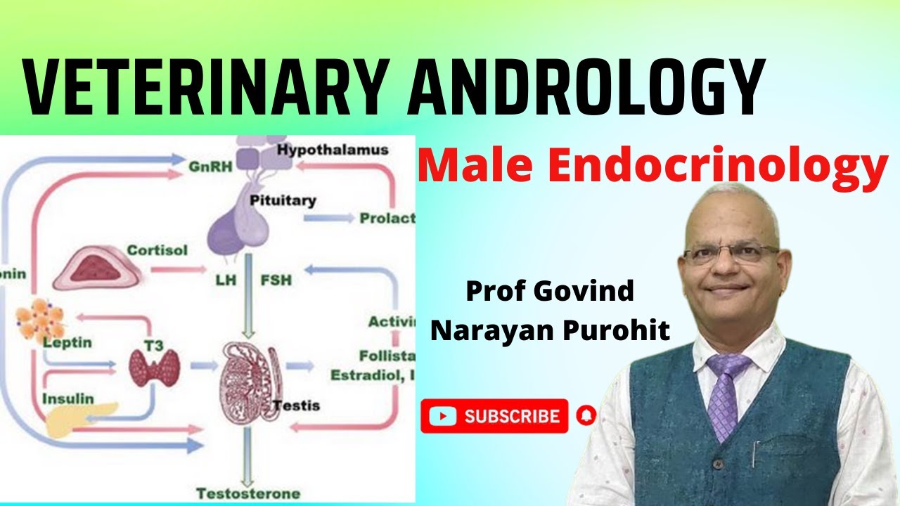 Endocrinology of male reproduction I Veterinary Andrology I VGO Unit 3 I GNP Sir I Hormones Male