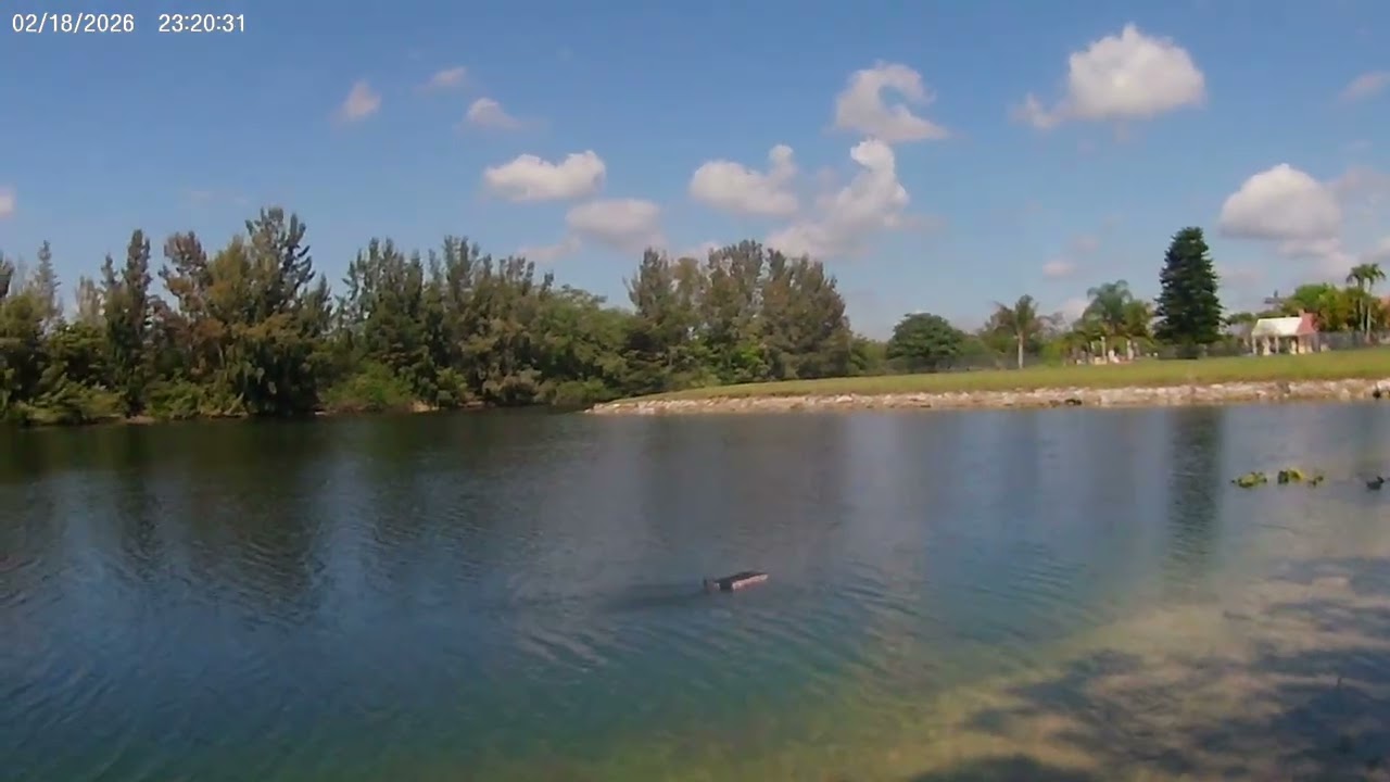 Blackjack 24 Speed Runs 90,93 and 94 mph with one flip and one save. 