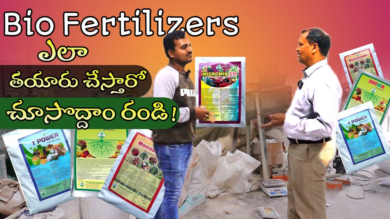 Bio Fertilizers ఫ్యాక్టరీలో ఎలా తయారు చేస్తారో చూపిస్తా రండి #gardening #organic