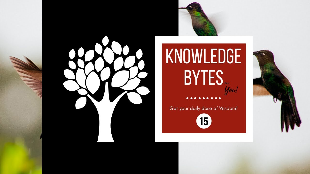 15. Knowledge Bytes - Amazing Facts