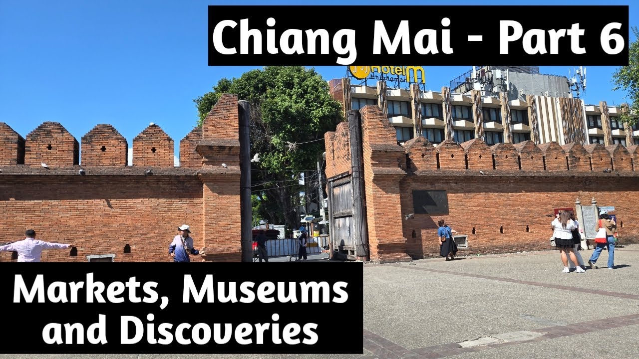 From Crocodile Burgers to Unique Markets, Museums and Discoveries