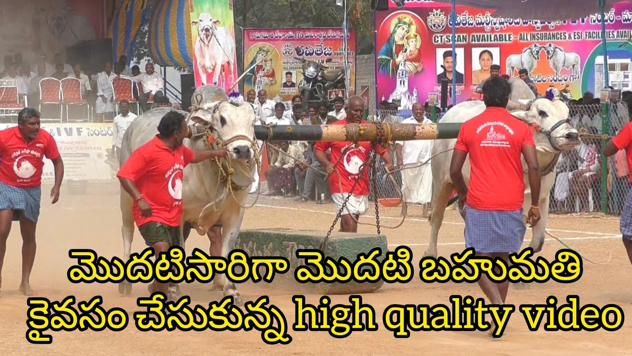 Rentachintala New category 1🏆 విజేత.మంగు రమాదేవి గారు ఇర్లపాడు సర్పంచ్ గారు ఇర్లపాడు గ్రామం 4489.7
