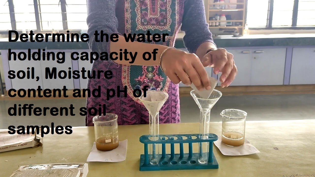 DETERMINE THE WATER HOLDING CAPACITY OF SOIL | MOISTURE CONTENT | PH OF DIFFERENT SOIL SAMPLES |