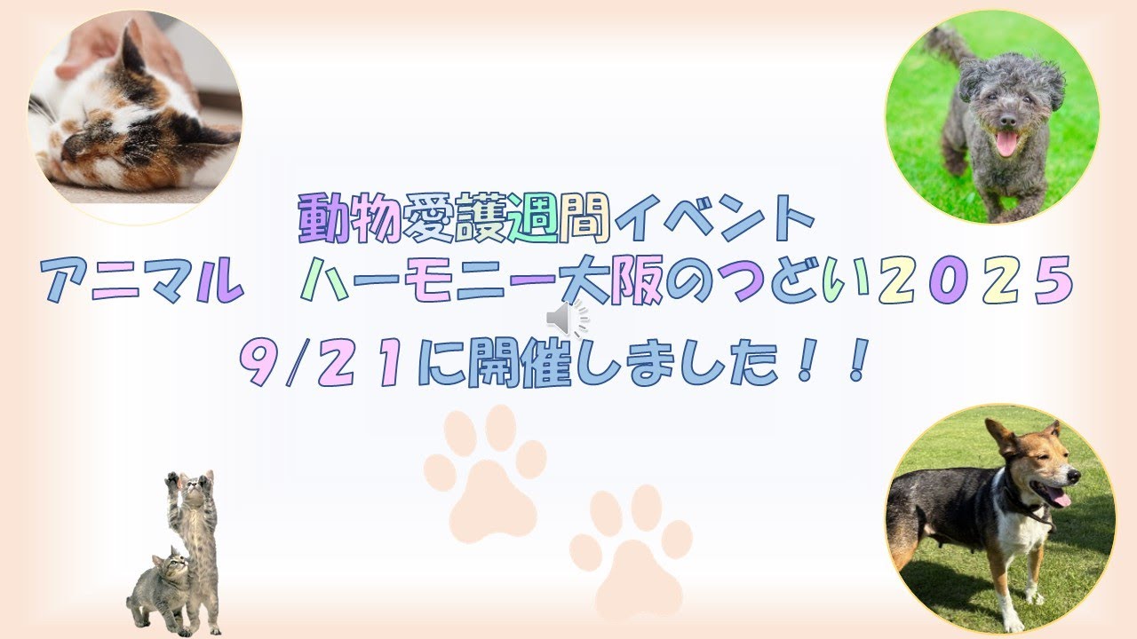 Состоялась встреча Animal Harmony Osaka Gathering 2025.