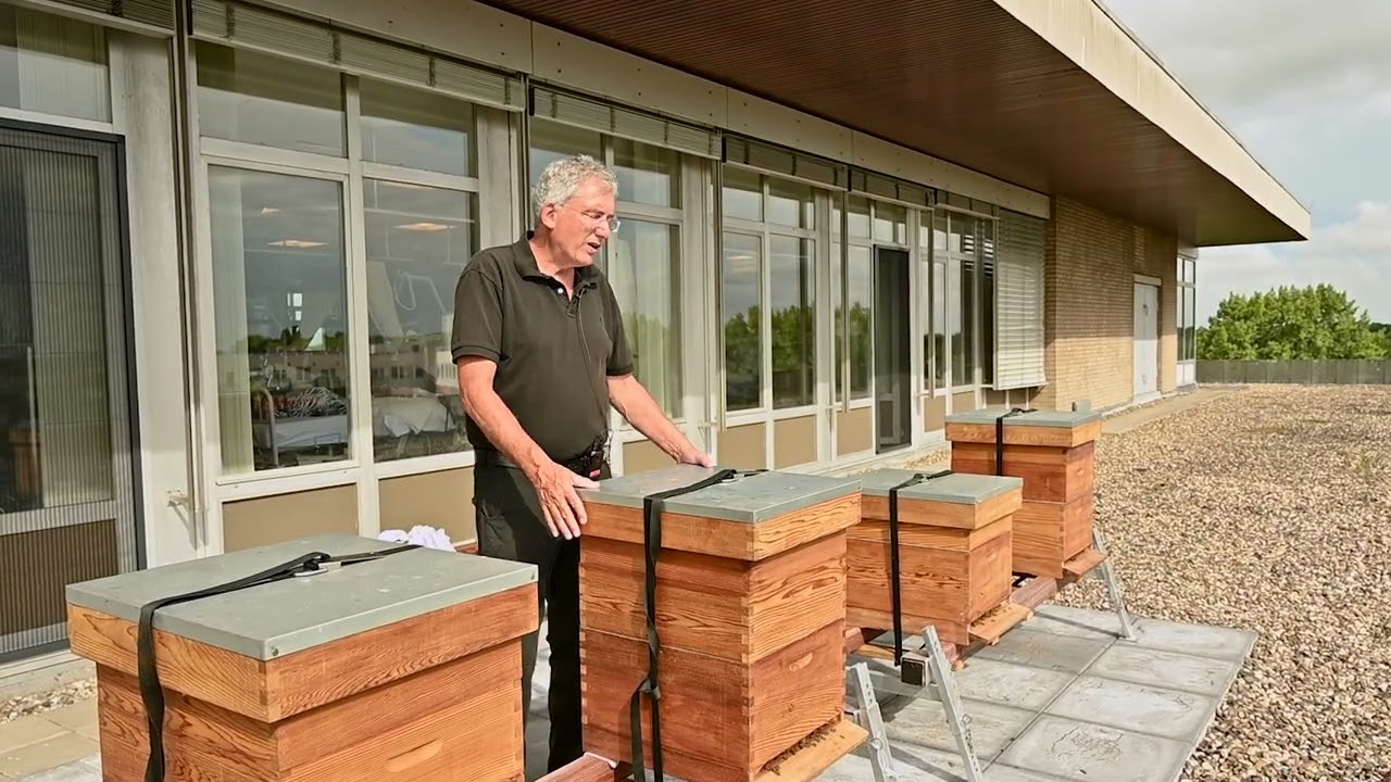 Bij imker Wim - Deel 1: Het bijenvolk van Alrijne