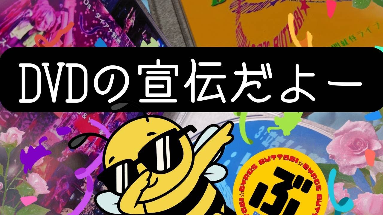 DVDの宣伝だよー