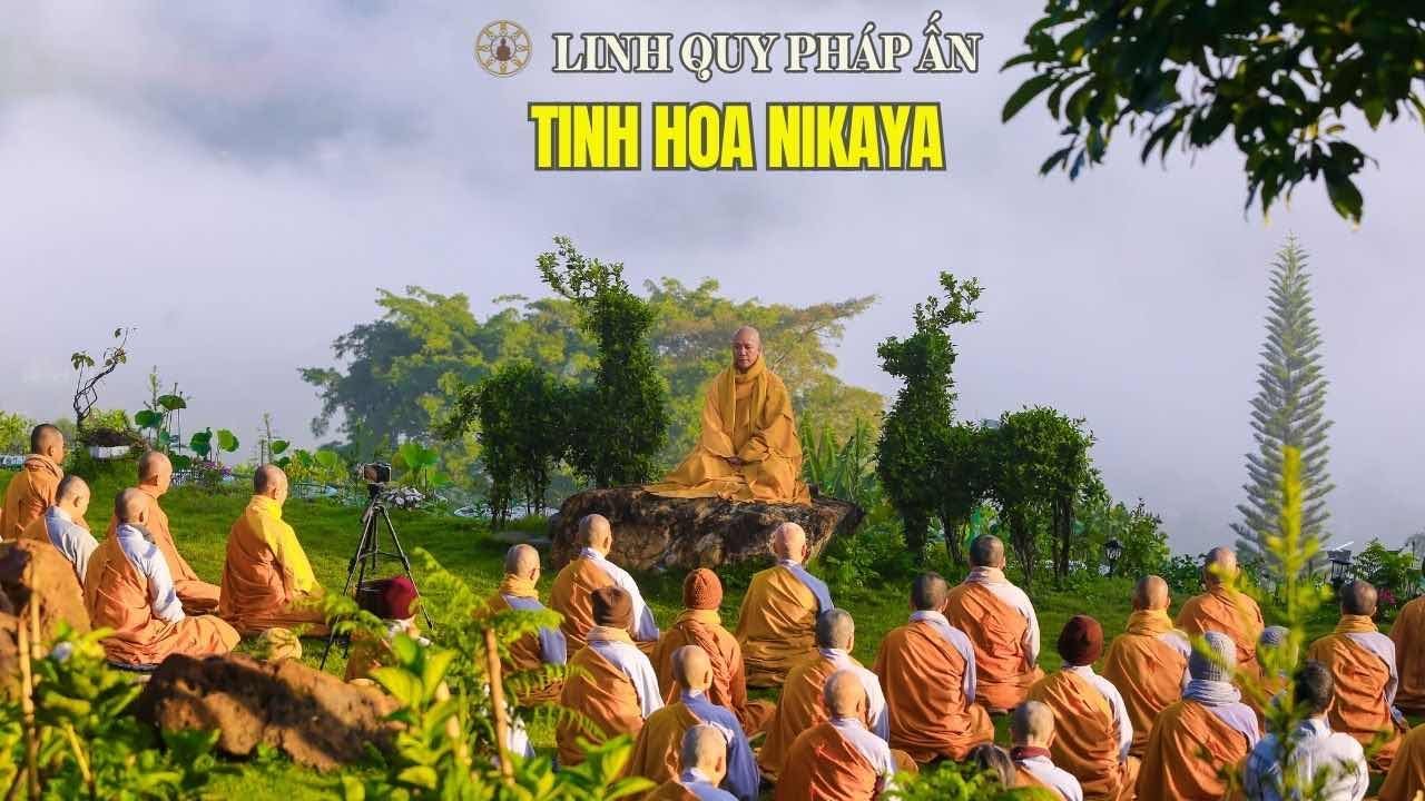 Tinh Hoa NIKAYA - Nhìn Lại - Nghe Lỗi - Thấy Lỗi - Nhận Lỗi - Sửa Lỗi*