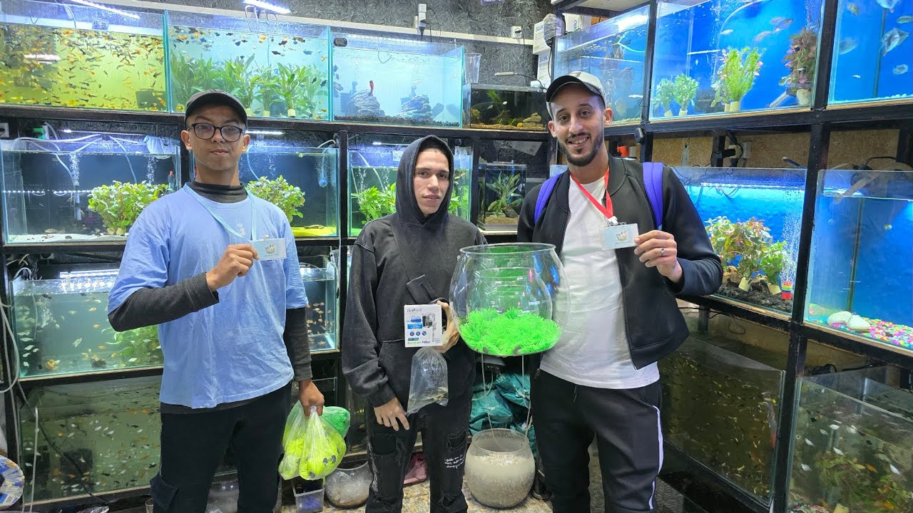الجديد عند حسن🐠عشاق أسماك الزينة أجيو نتولعو جميع لوازم الأسماك أكواريومات معدات أتمنة مناسبة#betta 