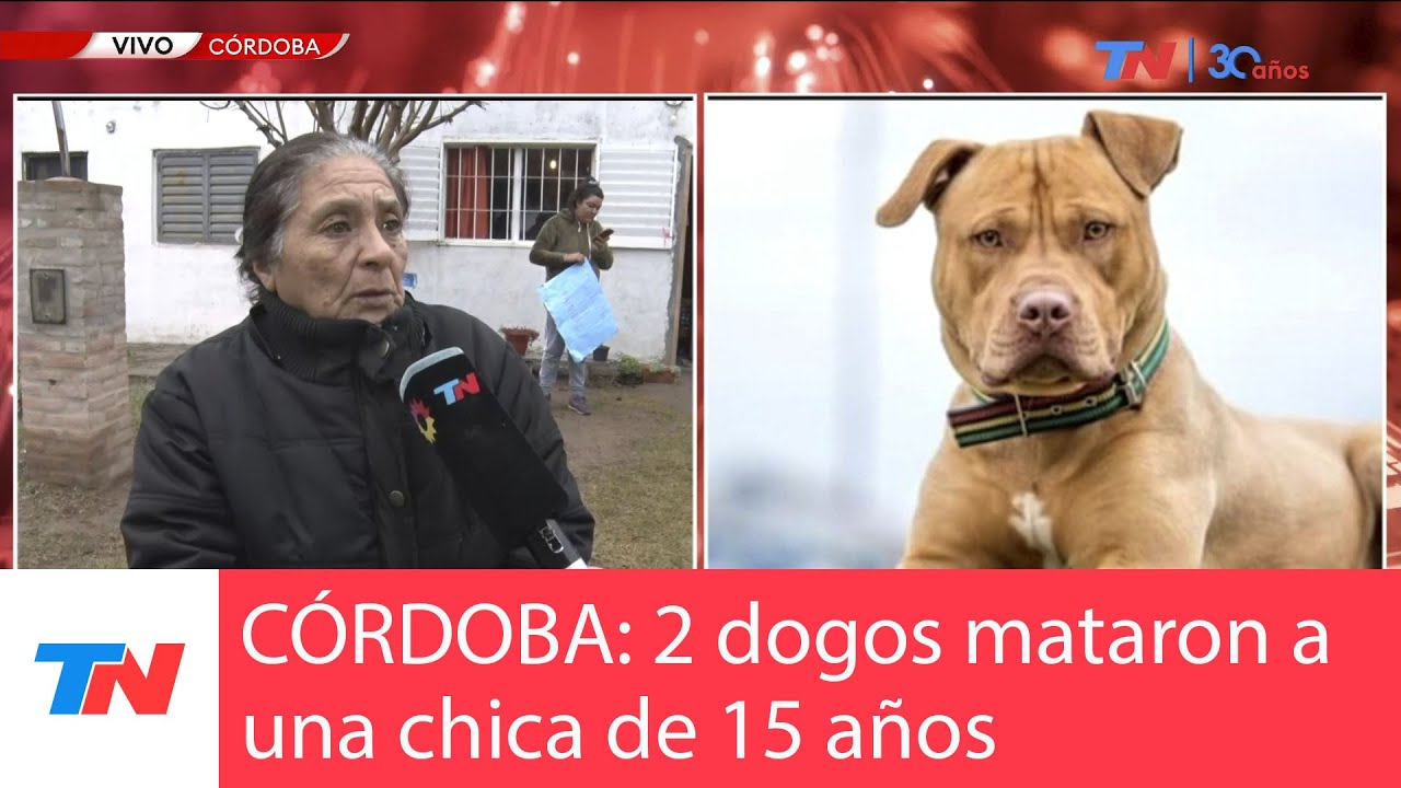 CÓRDOBA: 2 dogos mataron a una joven de 15 años. Imputaron por homicidio culposo al dueño.