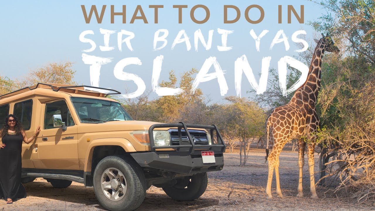 Sir Bani Yas Island Abu Dhabi: Beach, Wildlife Safari and Iftar (Best Day Trip Deal)