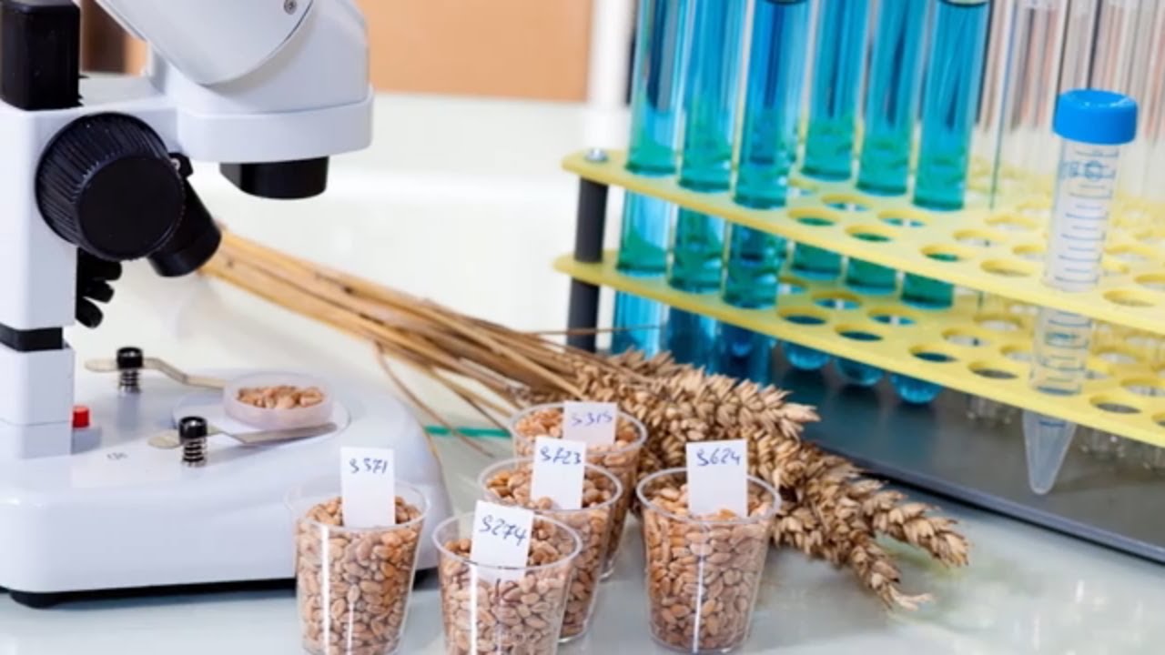 Food Testing in India | FSSAI