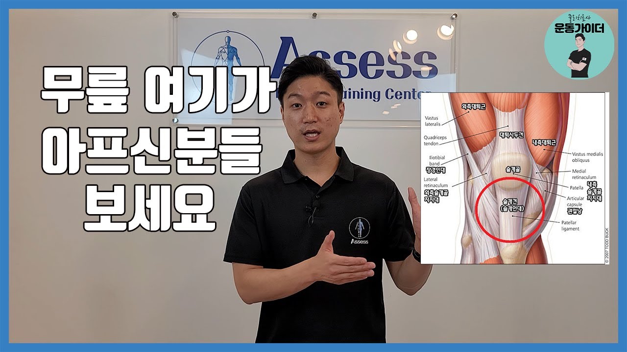 무릎 통증 슬개건염 무릎힘줄염 재활하는 운동 방법 알려드립니다 (어세스)