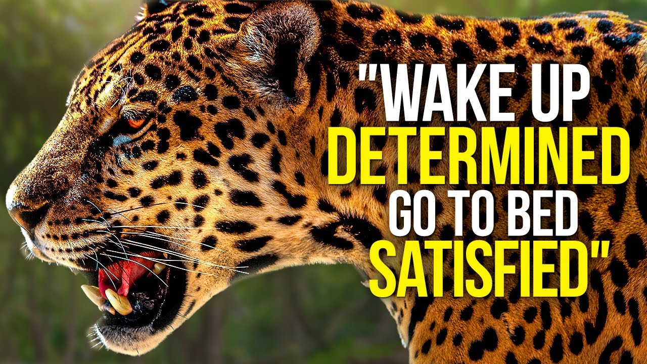 WAKE UP DETERMINED & START THE DAY - Motivational Video Compilation - 30 Minute Morning Motivation