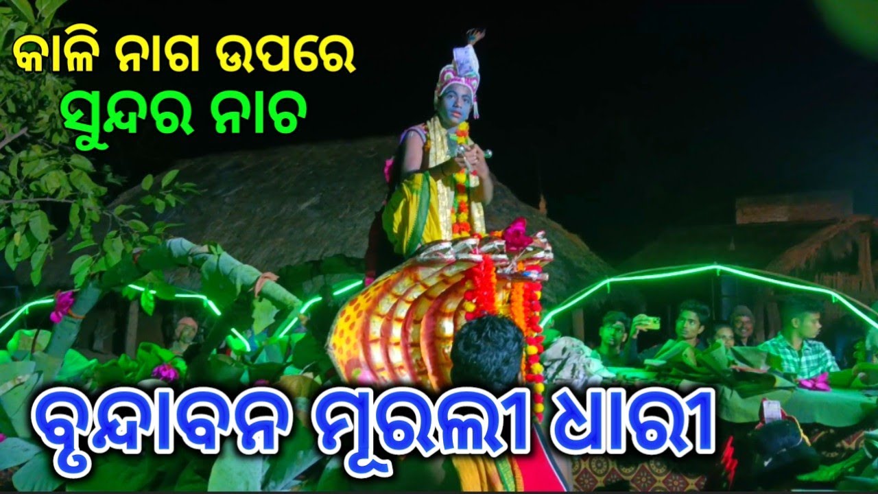 ତୋତେ କୃଷ୍ଣ ବୋଲି ନାମ କିଏ ଦେଲା ରେ// ନଡ଼ିଆଳି କାଳୀୟଦଳନ // Nadiali Kaliya Dalan, Nayagarh