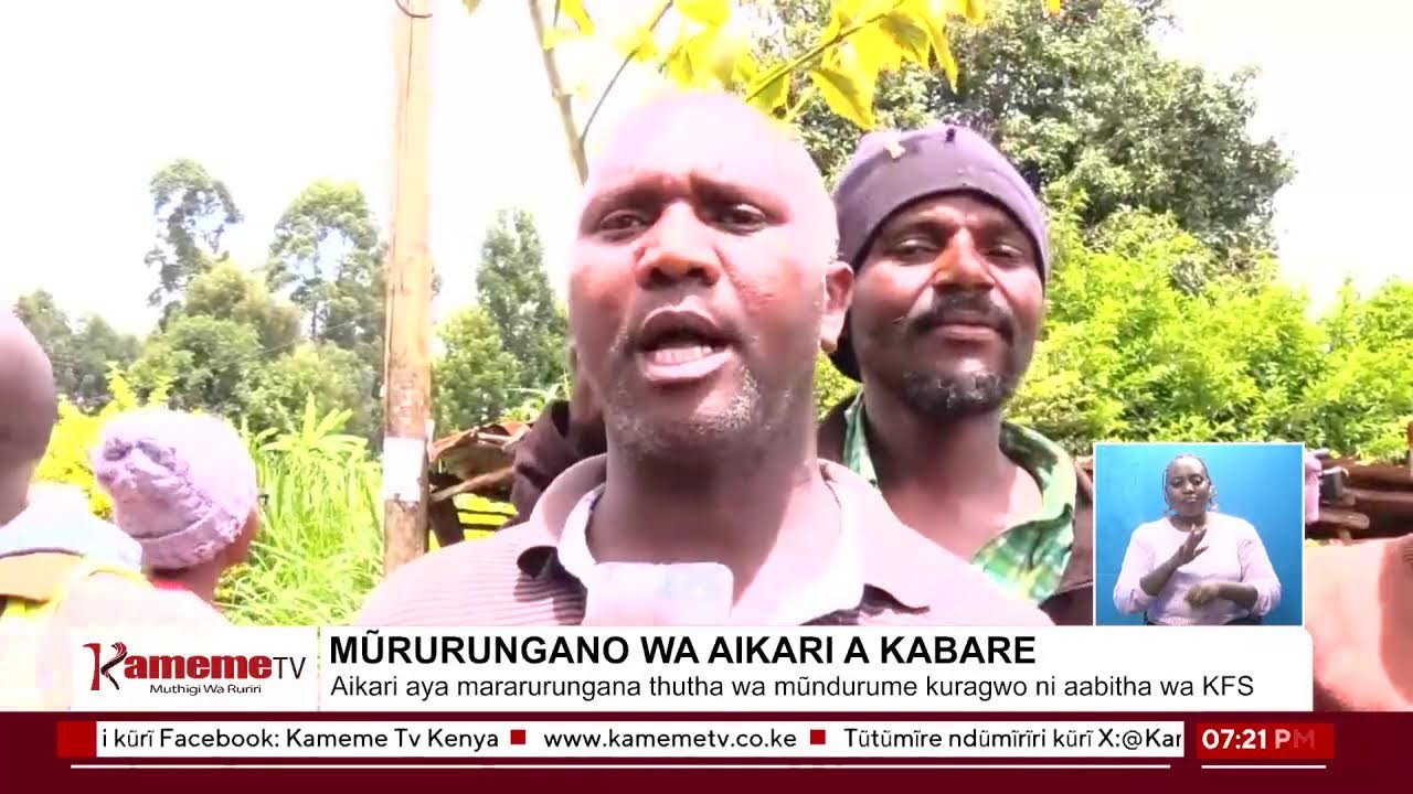 ##KamemrMatuuraini