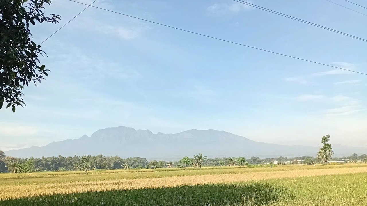 update jalan raya parung panjang 11 januari 2026 , beli rumah siaphuni cuma 400 jt an #rumah400jtan 