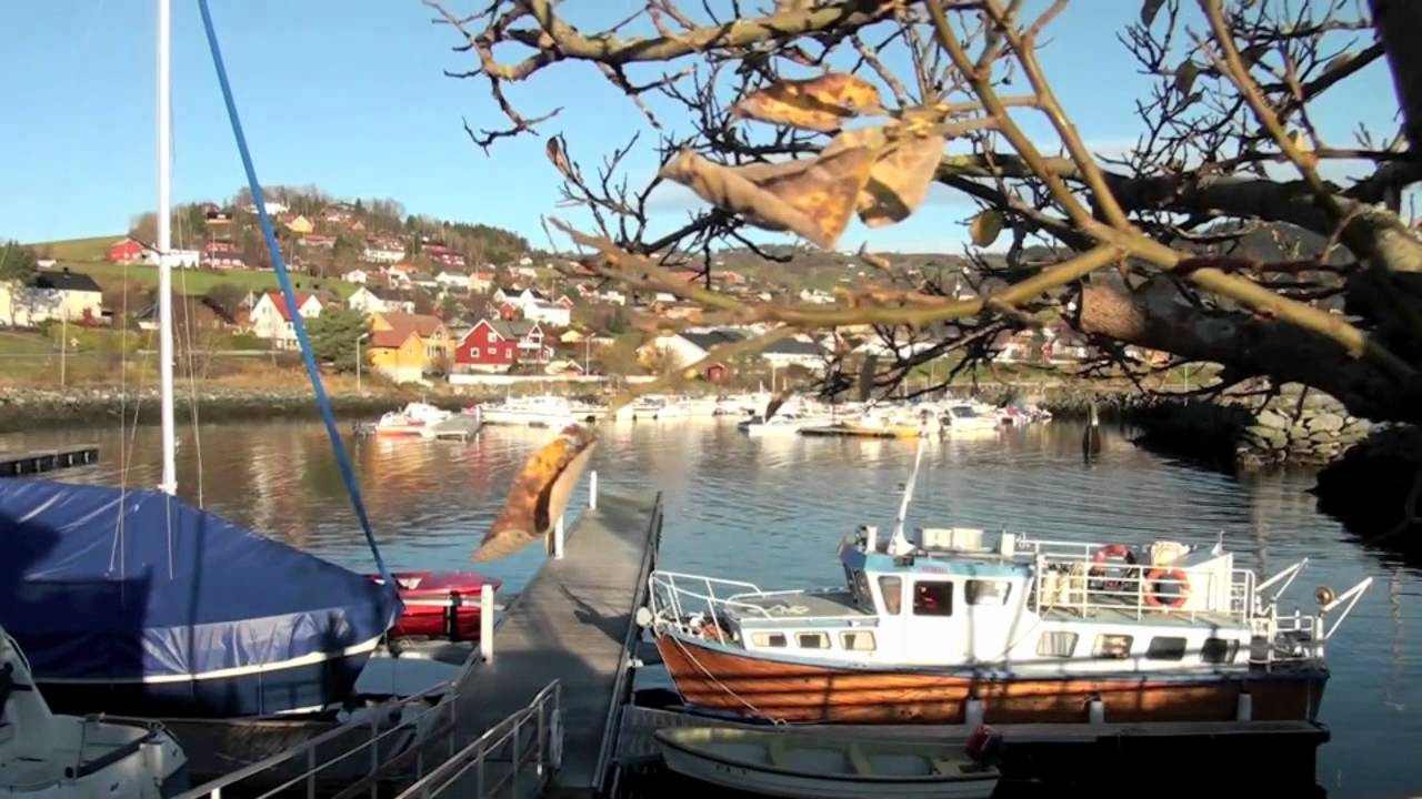 Leksvik Høst