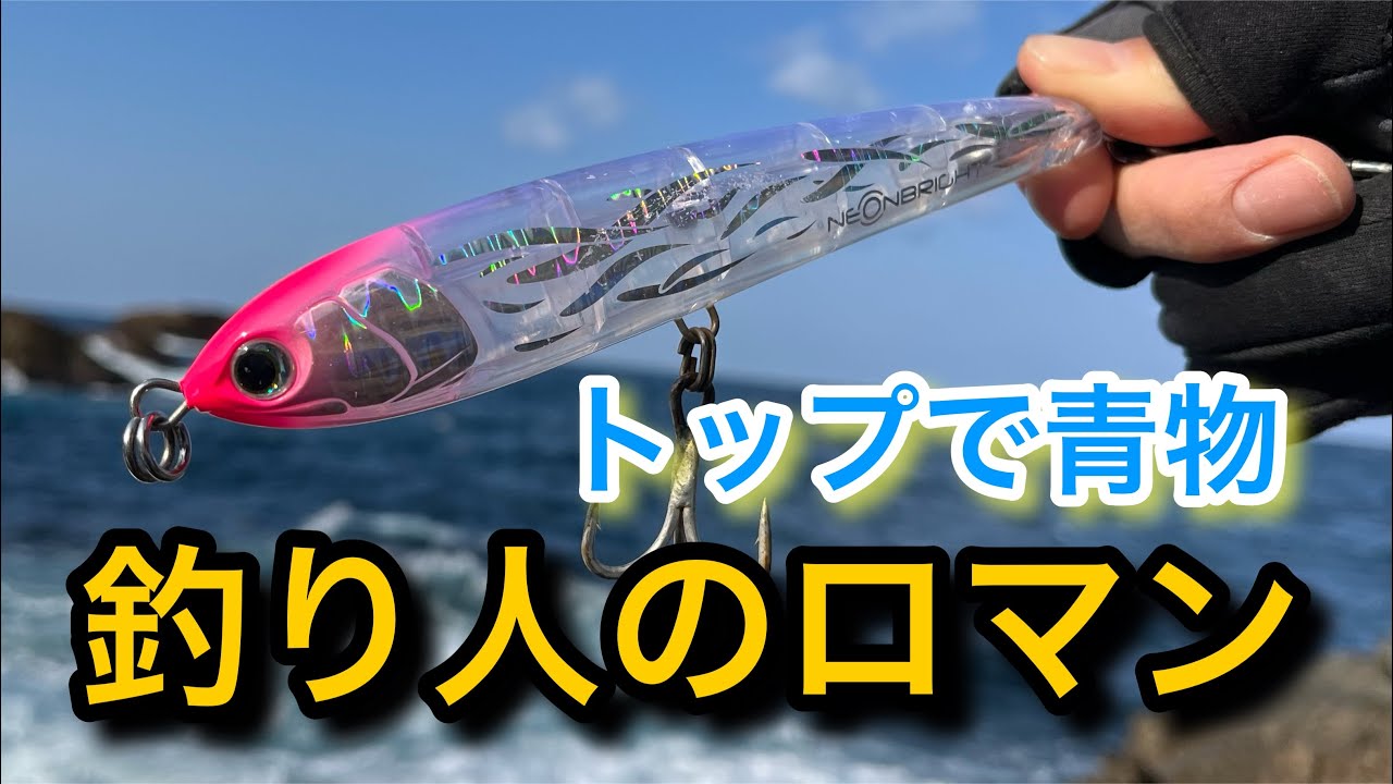[検証]トップでヒラマサを釣る夢は何日で叶うのか？