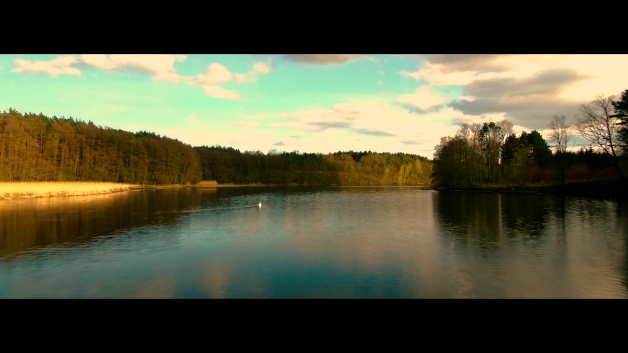 Tryszczyn