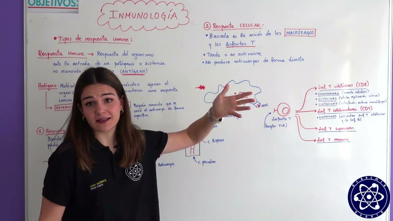 18. Inmunología. Tipos de respuesta inmune