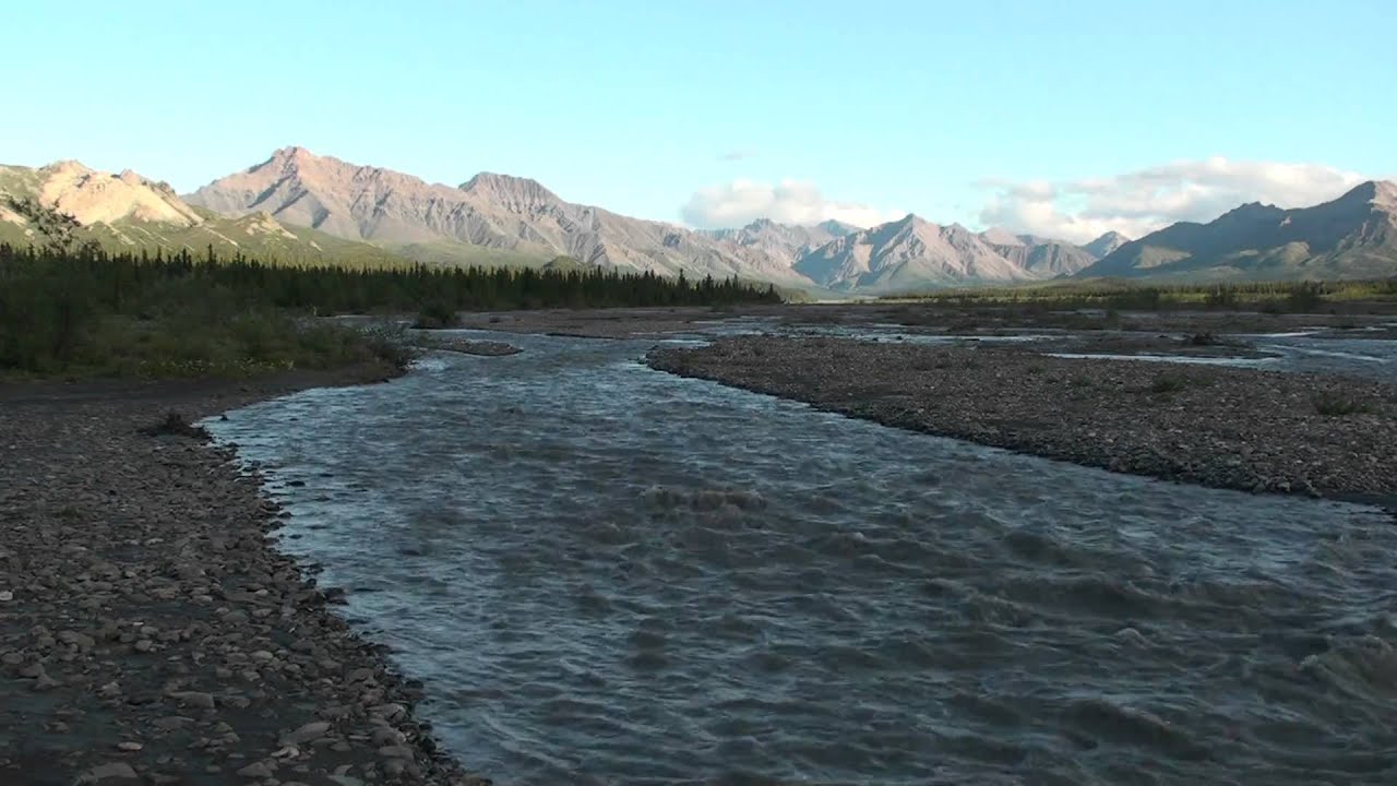Teklanika River 2010