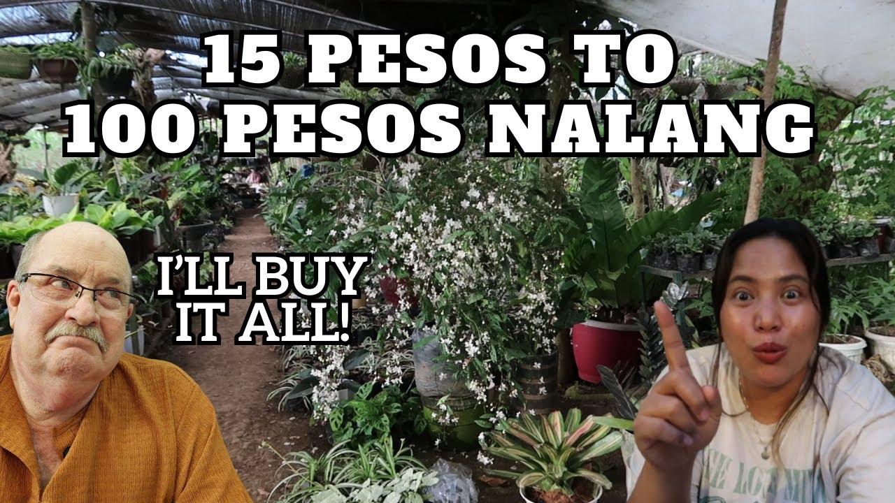 BILIHAN NG  PINAKAMURANG MGA HALAMAN NASA SILANG CAVITE TALAGA!