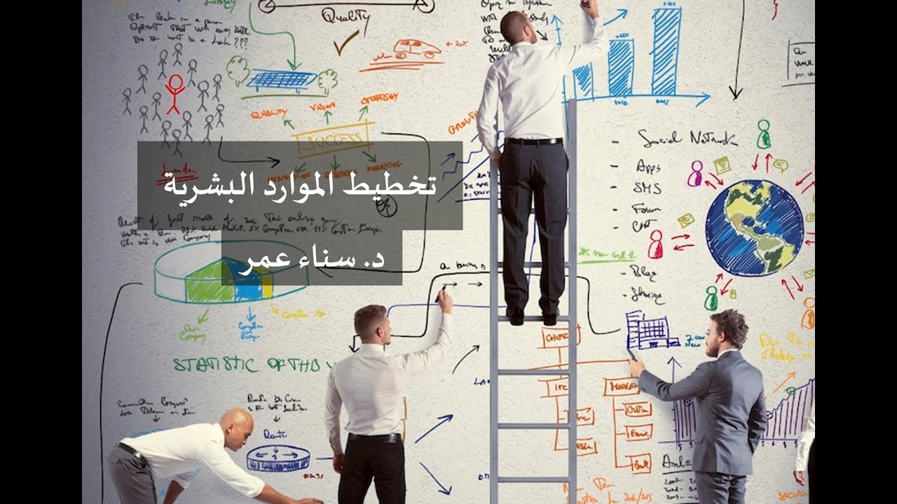 مراحل تخطيط الموارد البشرية | د. سناء عمر عبد الجبار