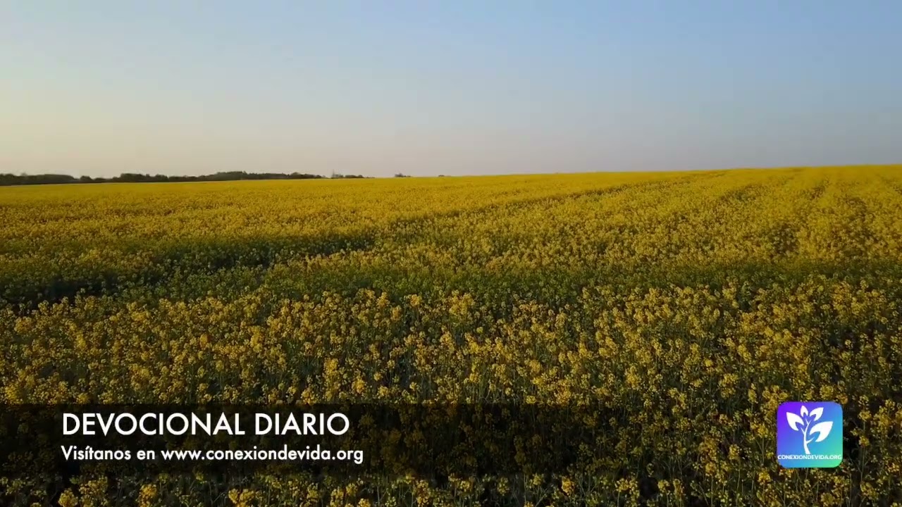 Devocional diario - 2026-03-12 - Por Gracia tenemos un nuevo corazón para vivir en el Espíritu
