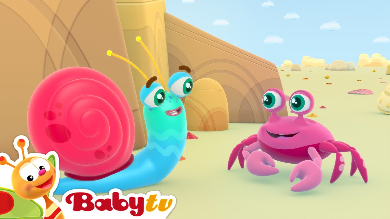Sr. Caracol na Praia 🏖️ | Mar, Caranguejo e Diversão de Verão 🌞 Desenhos Animados @BabyTVPT