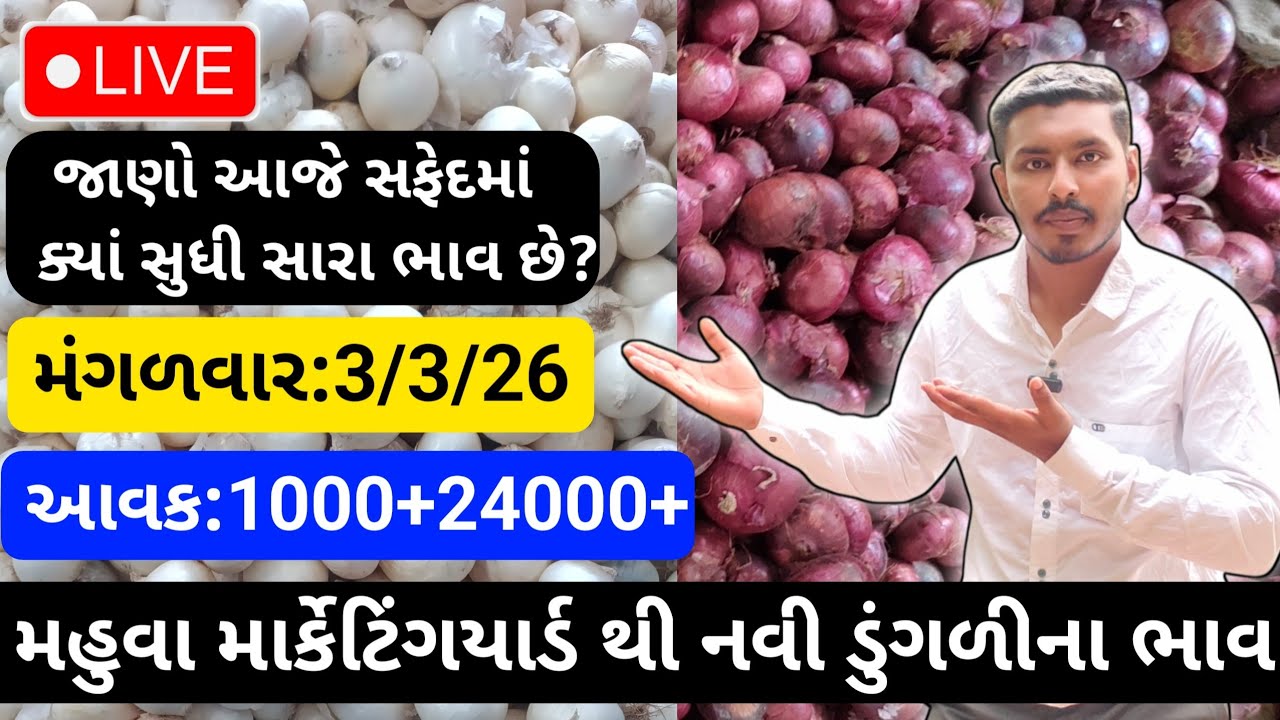 મહુવા થી લાલ અને સફેદડુંગળીના ભાવ🔥| 3/3/26 | White & Red Onion Market Rate Today💸| लाल ओर सफेद भाव🧅