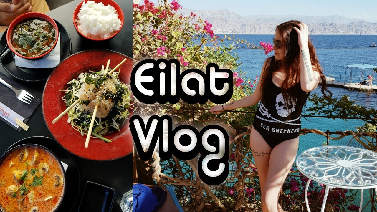 Visiting The Dolphin Reef In Eilat!