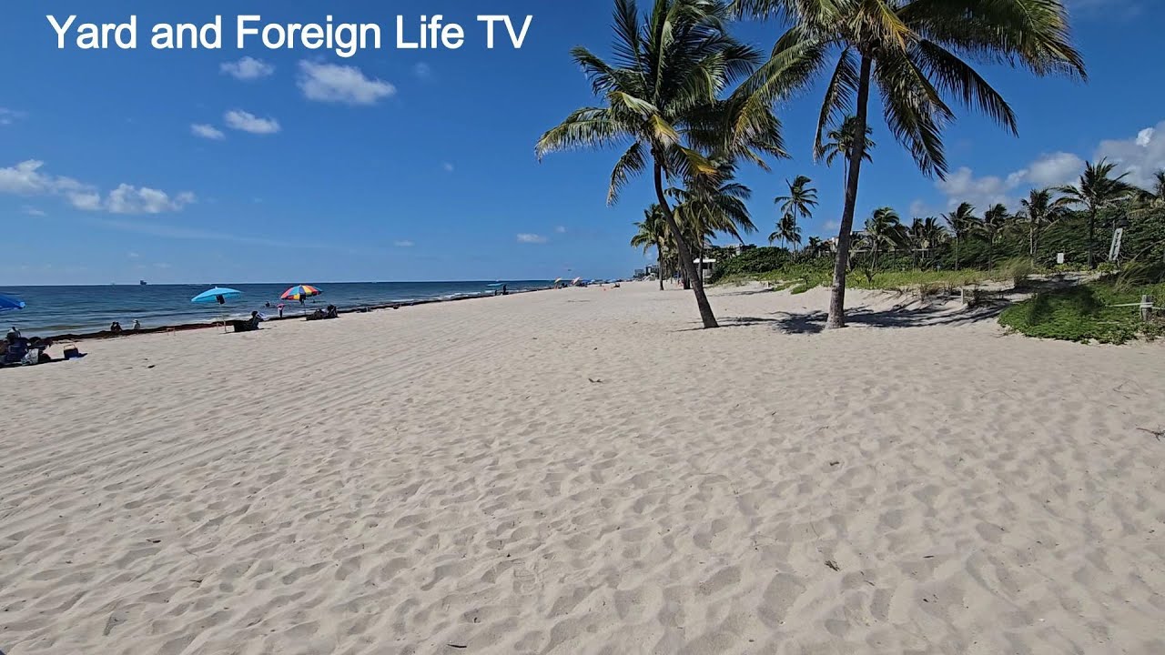 Fort Lauderdale: From Sandy Beaches to Bargain Hunting at the Swap Shop