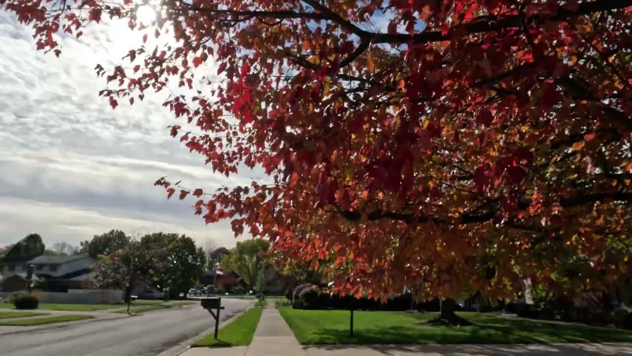 Peaceful Autumn Walk 4K - Quiet Neighborhood with Fall Leaves