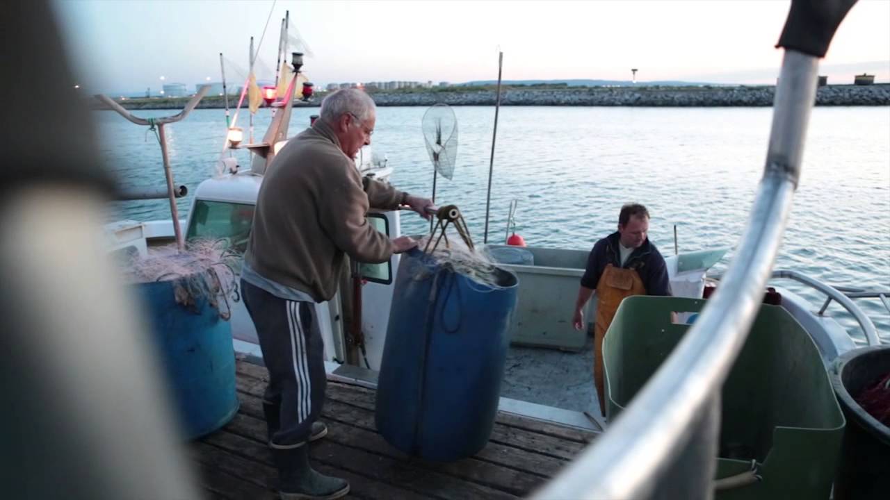 Une autre pêche existe: Rencontre avec des pêcheurs artisanaux