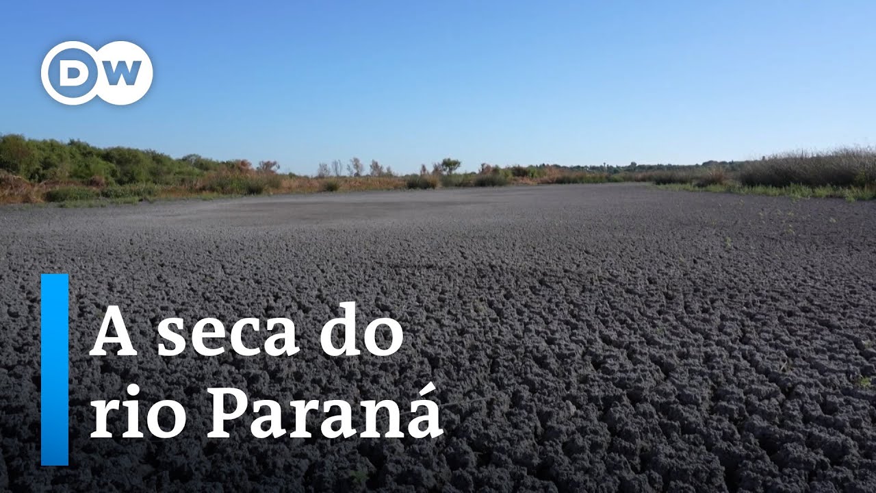 O segundo maior rio do Brasil está morrendo?