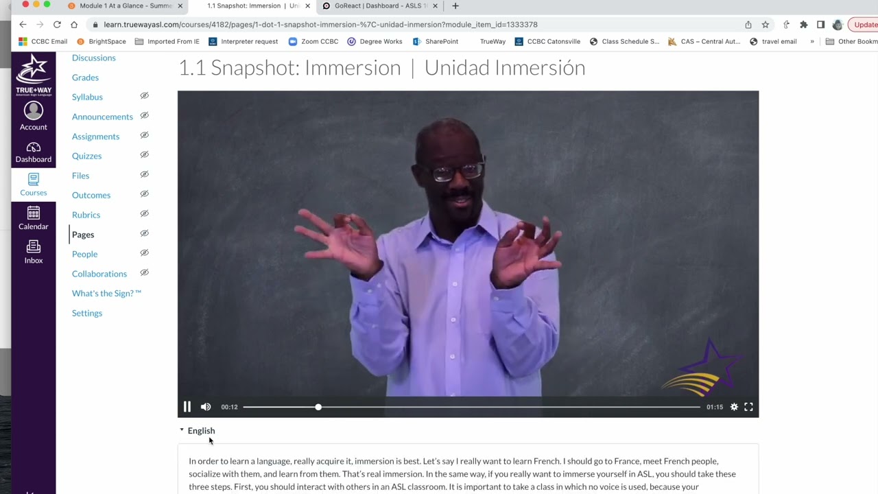 Intro to online ASL classes