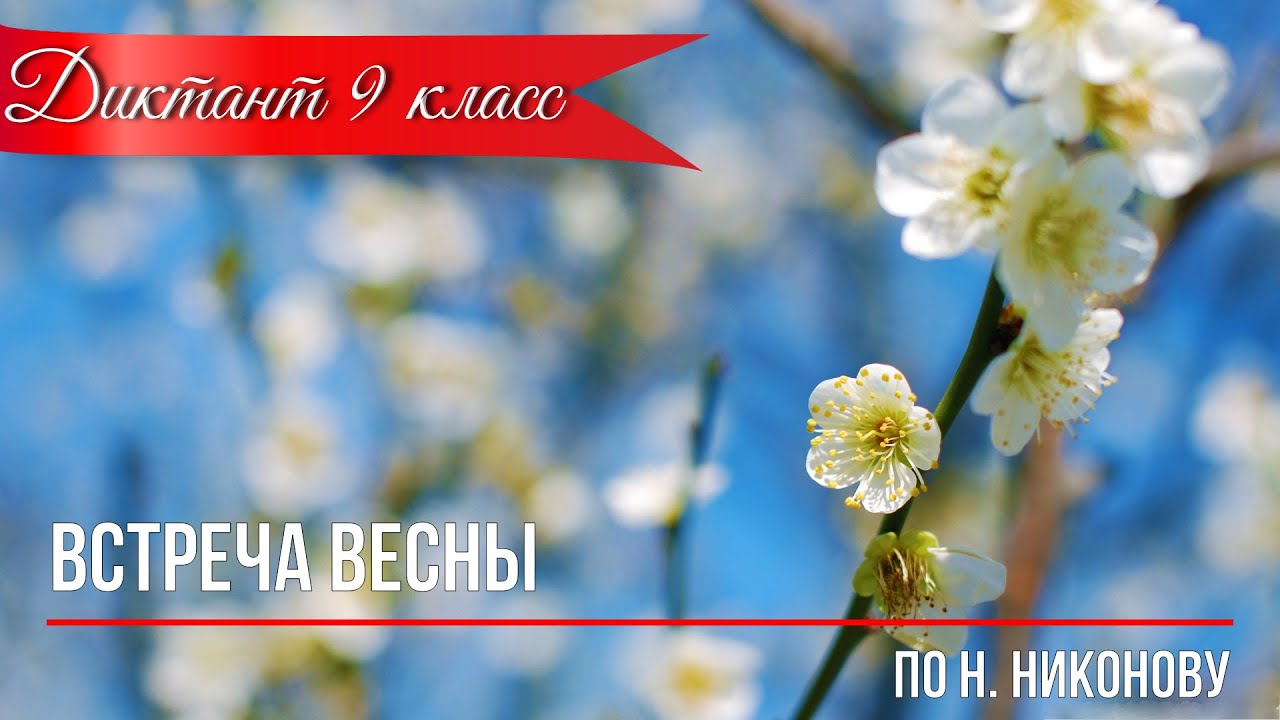 Диктант по русскому языку.9 класс. Встреча весны. Прямая речь.  #диктант9класс​ #диктант
