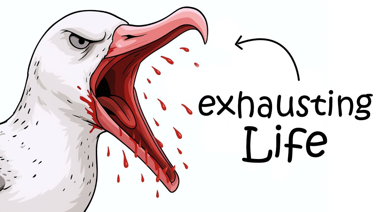 Why It Sucks to Be Born as a Wandering Albatross