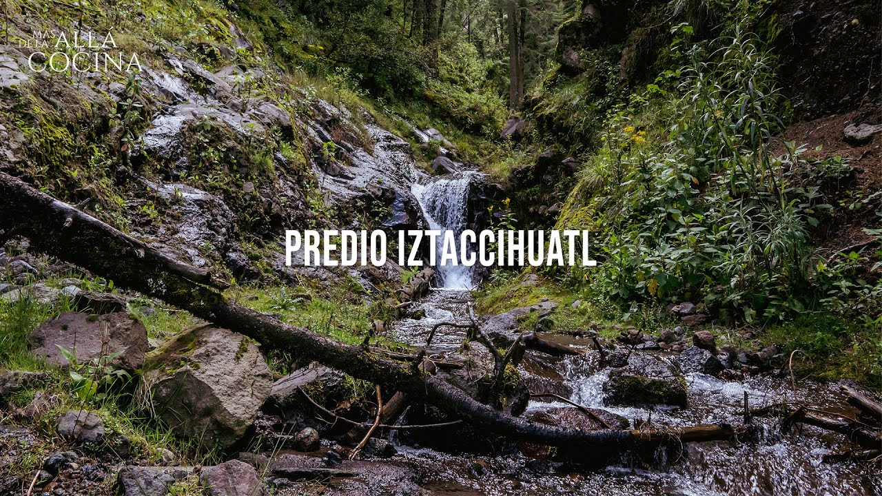 Predio Iztaccíhuatl: Naturaleza, Aventura y Descanso en las Faldas del Volcán