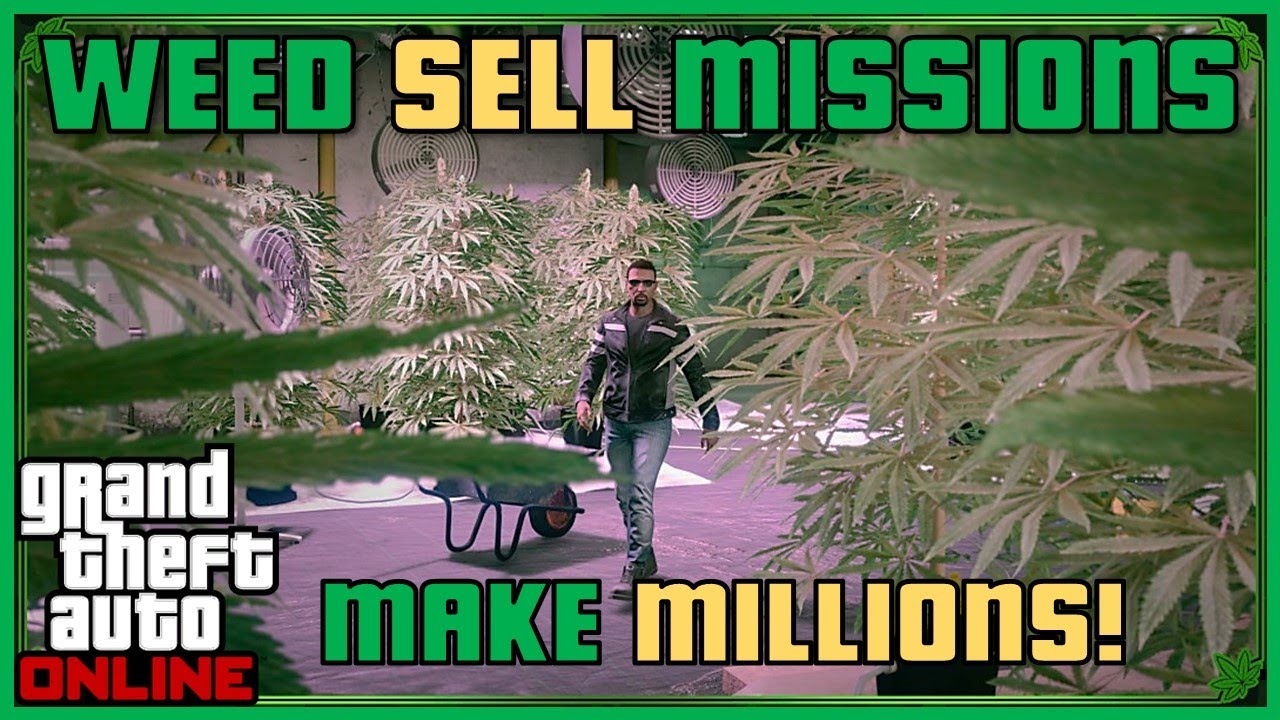 GET 3X BONUSES WITH WEED SELL MISSIONS | Make Millions This Week | GTA Online Tutorial #gta
