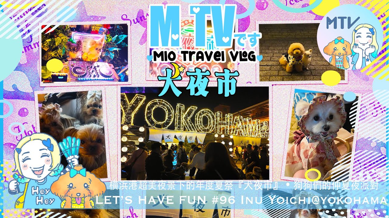 【 M TV #96 INU YOICHI@YOKOHAMA】横浜臨海仲夏晚上的❛犬夜市❜♡狗狗們的夏祭盛會✧熱辣辣的晚上卻能乘著海風✚超強夜景♥︎都是與愛犬的夏日甜蜜回憶呢☺︎我們就一起來治癒一下吧