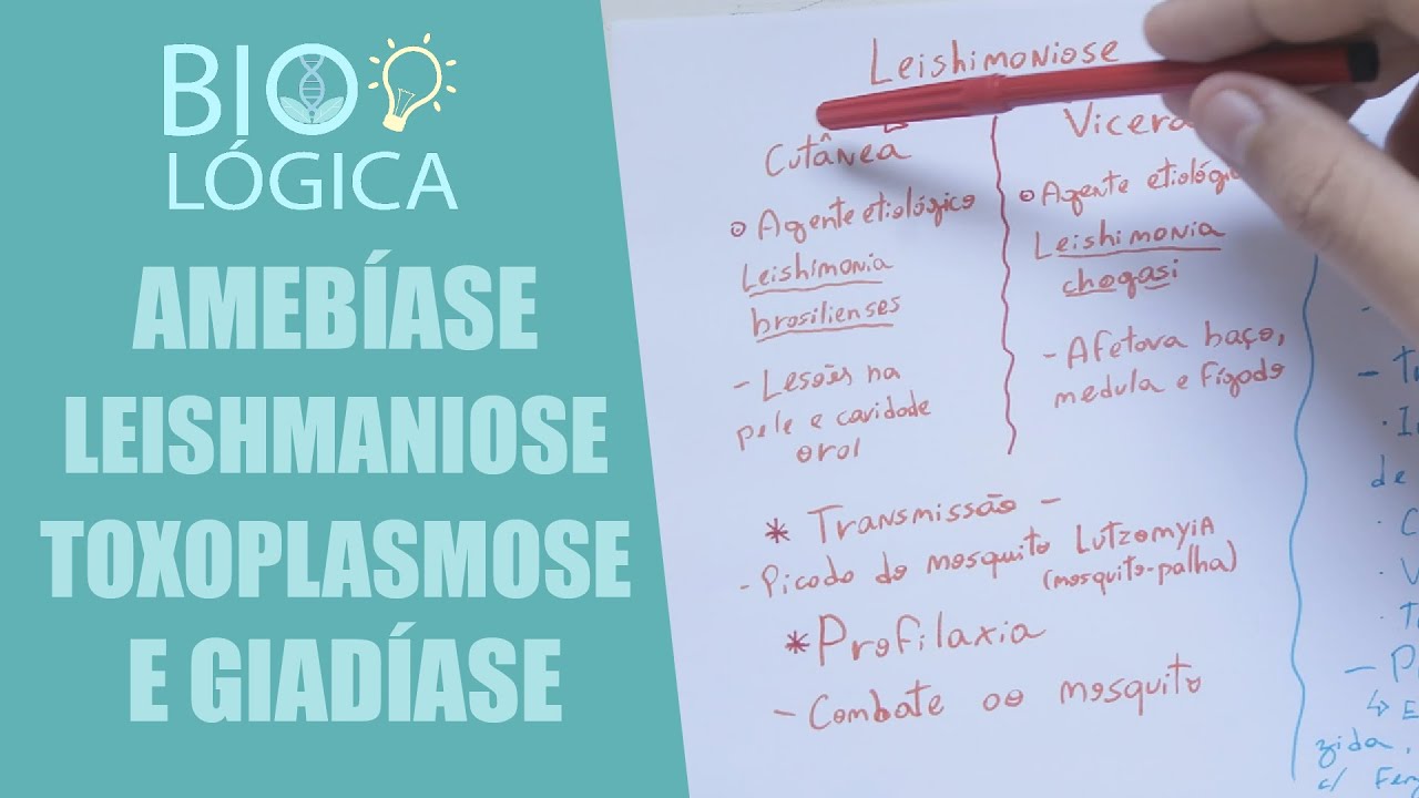 BIO L&Oacute;GICA!   AMEB&Iacute;ASE, LEISHMANIOSE, TOXOPLASMOSE E GIAD&Iacute;ASE