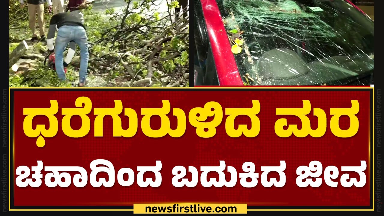 TOP 30 : ಧರೆಗುರುಳಿದ ಮರ ಚಹಾದಿಂದ ಬದುಕಿದ ಜೀವ | Rain Effect | Bengaluru | @newsfirstkannada