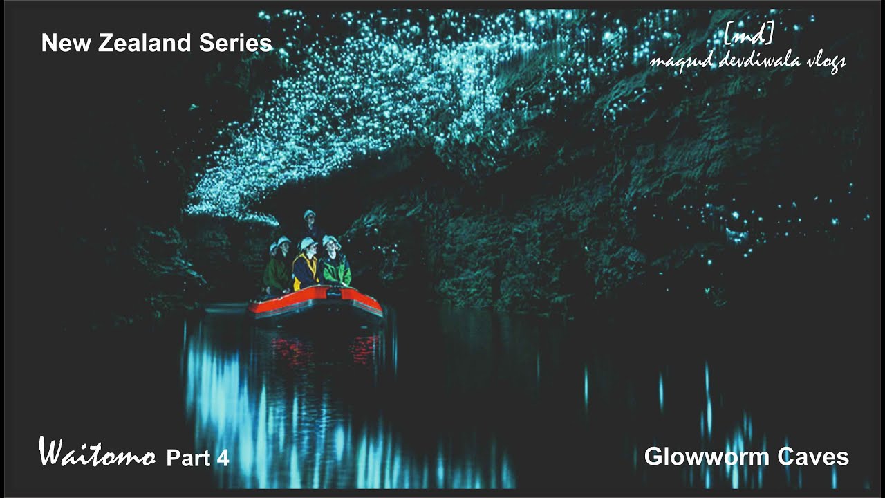 Waitomo | Glowworms | Caves | Limestone | Boat Ride | Road Trip | New Zealand Series | Waitomo Part4