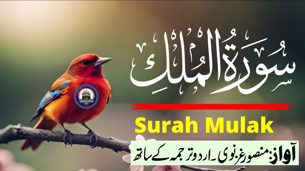 Surah Mulk with Urdu Hindi Translation | Most Beautiful & Calming Recitation | Islaim Mag Dua