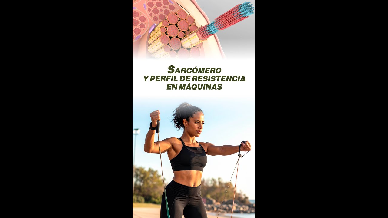 Perfil de resistencia y sarcómero