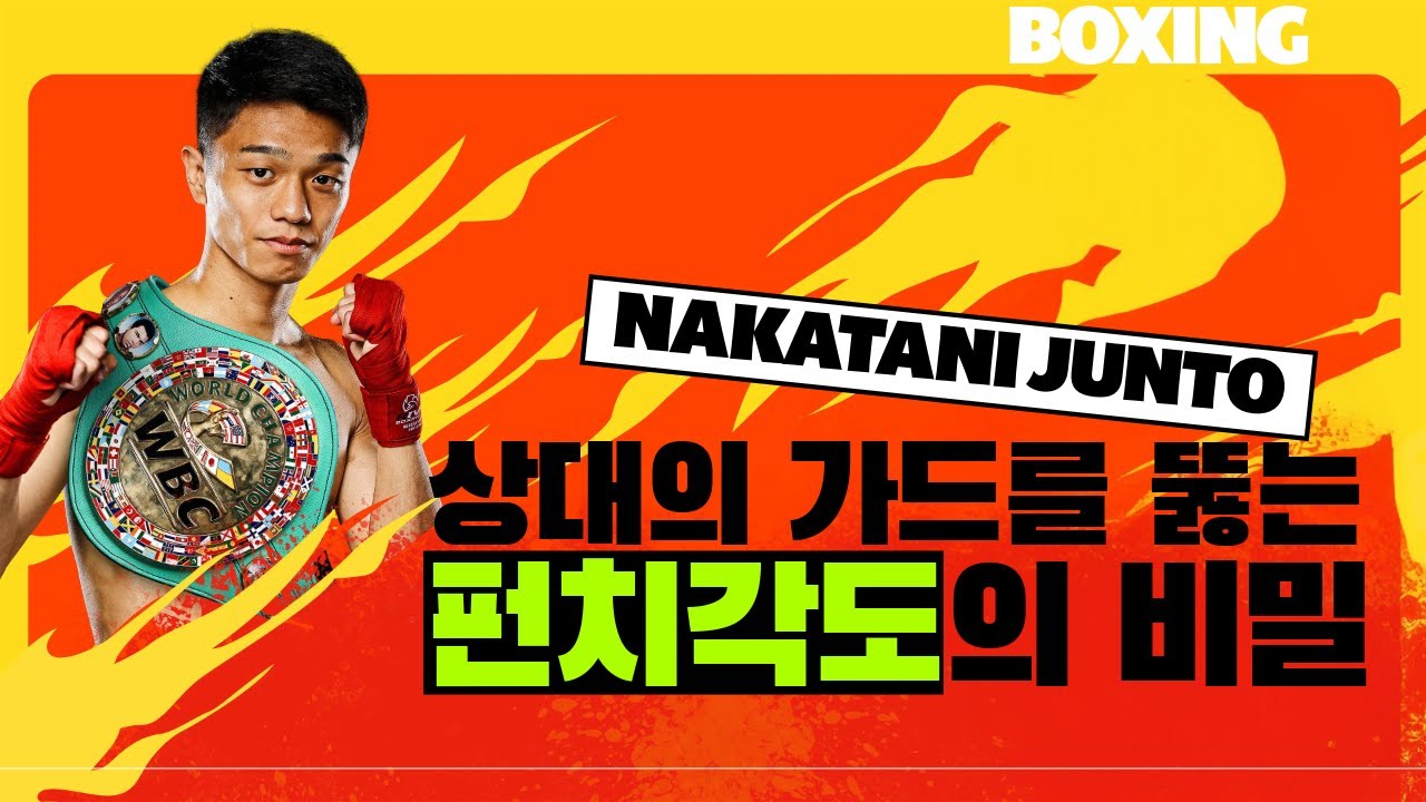 나카타니 준토의 날카로운 펀치 각도의 비밀